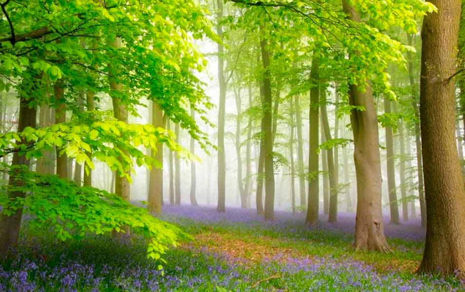 Heatlh & Wellbeing